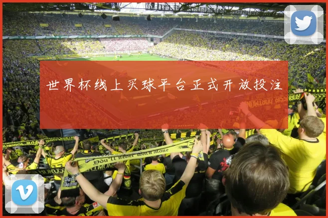 世界杯线上买球平台正式开放投注